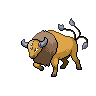 Shiny Tauros