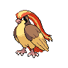 Shiny Pidgeot