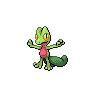Shiny Treecko