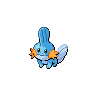 Shiny Mudkip