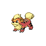 Shiny Growlithe