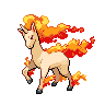 Shiny Rapidash