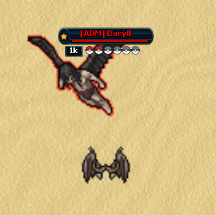 Fly Outfit